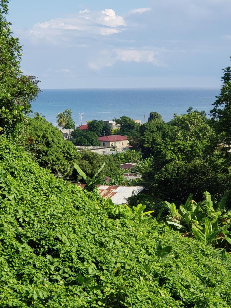 Viva Violas Port Antonio Zewnętrze zdjęcie