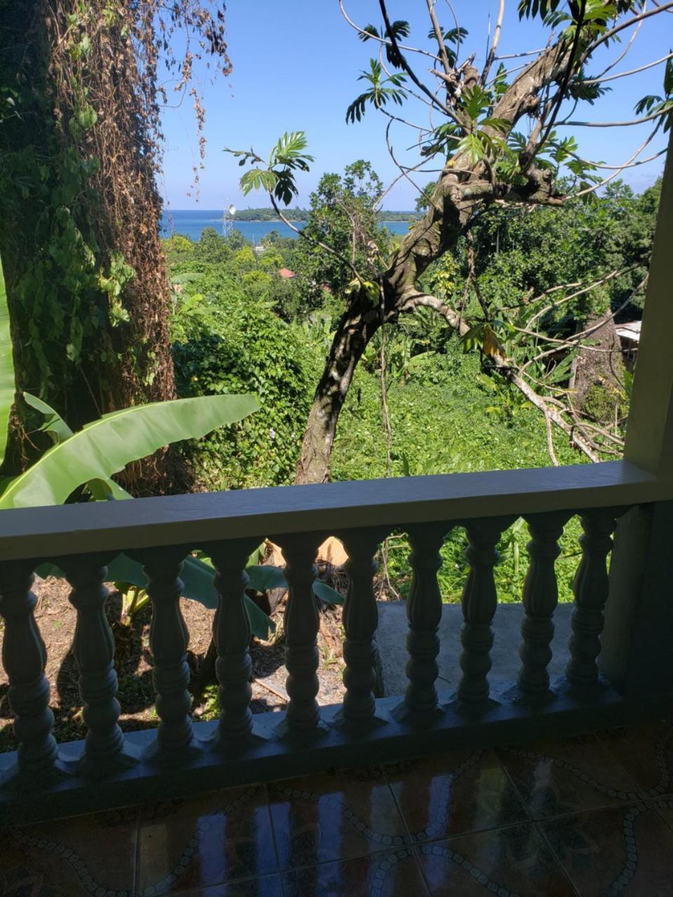 Viva Violas Port Antonio Zewnętrze zdjęcie