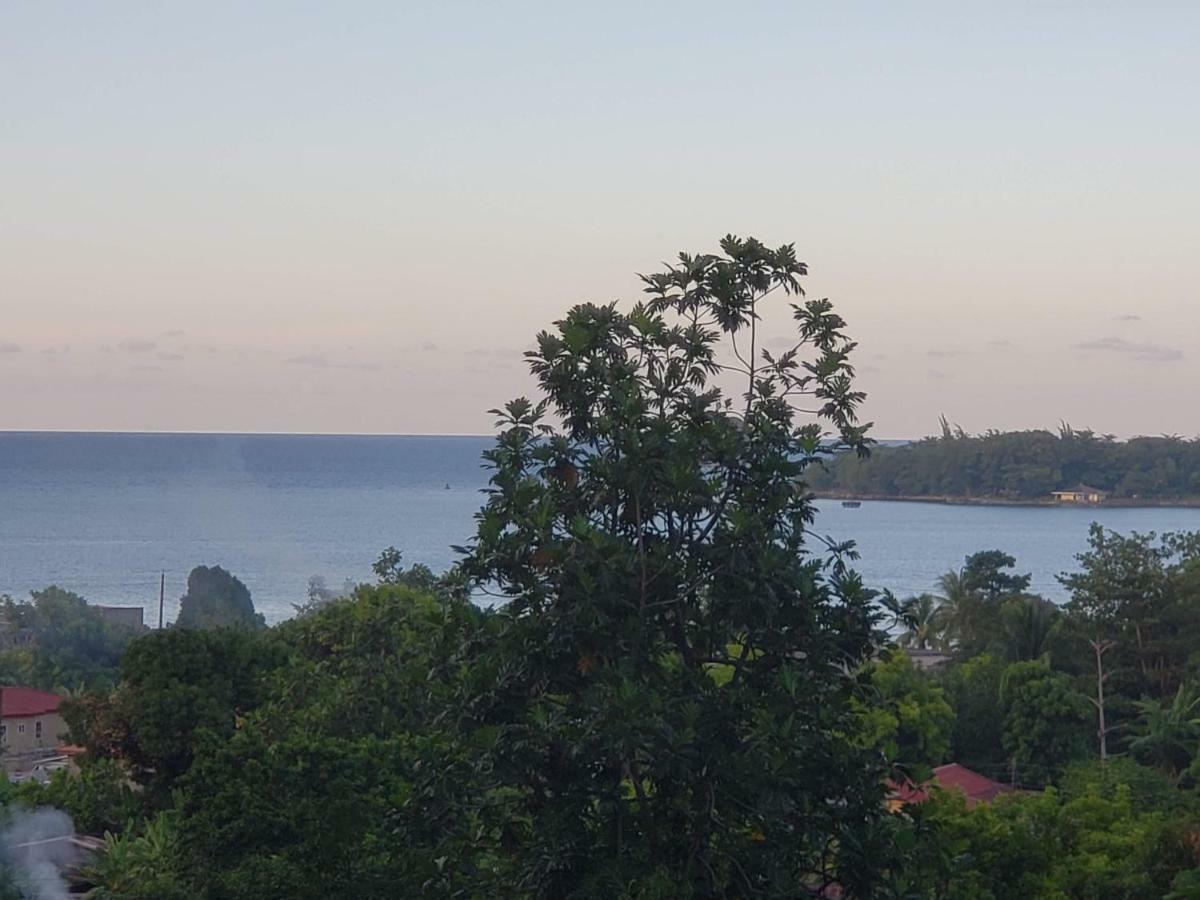 Viva Violas Port Antonio Zewnętrze zdjęcie