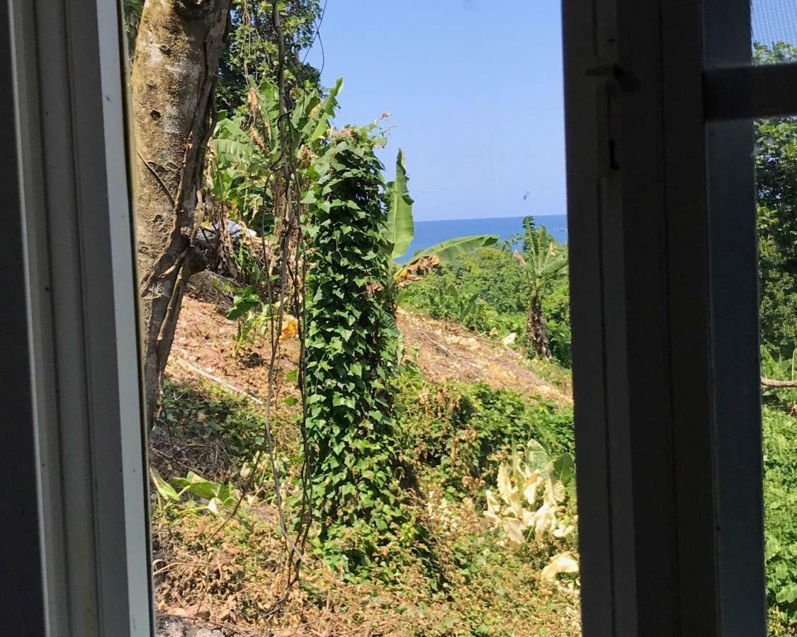 Viva Violas Port Antonio Zewnętrze zdjęcie